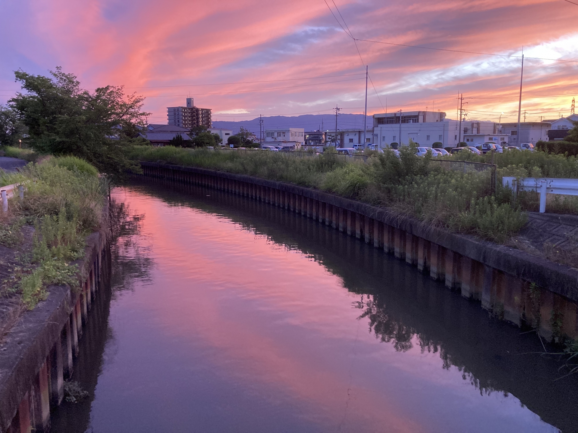 津島市 河川