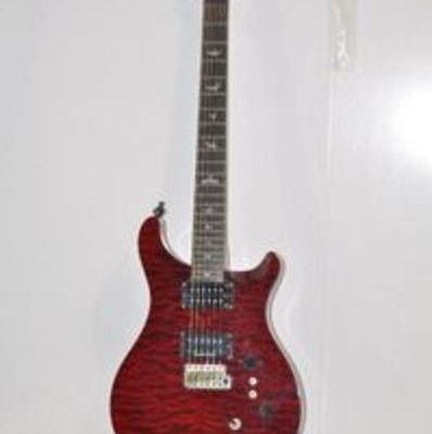 Paul Reed Smith エレキギター SE Custom Serial No.K24651