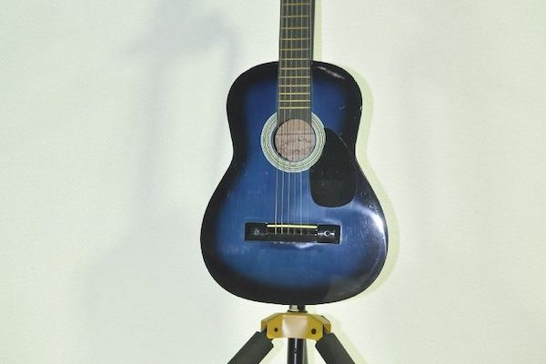Sepia Crue ミニアコースティックギター W-50/BLS
