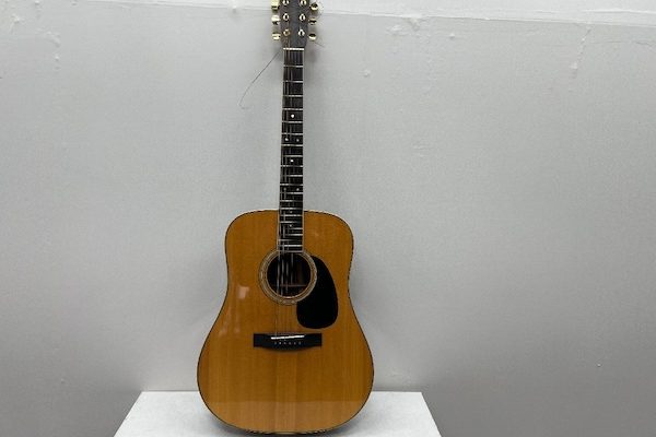 S. Yarii アコースティックギター YD-303 ケース付き