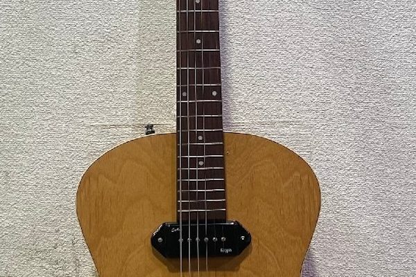 Godin エレアコ 5th Avenue Kingpin P90 Natural ソフトケース付