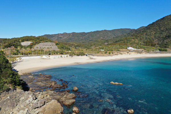 <?php echo $make; ?>