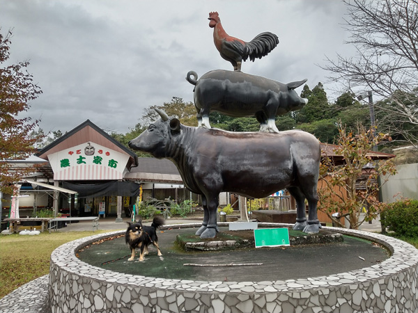 <?php echo $make; ?>