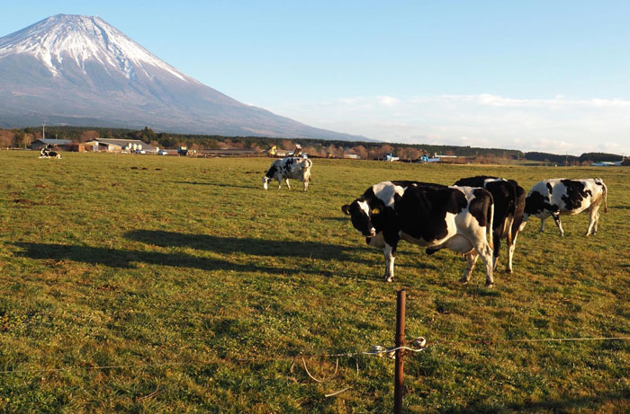 富士宮市 富士山