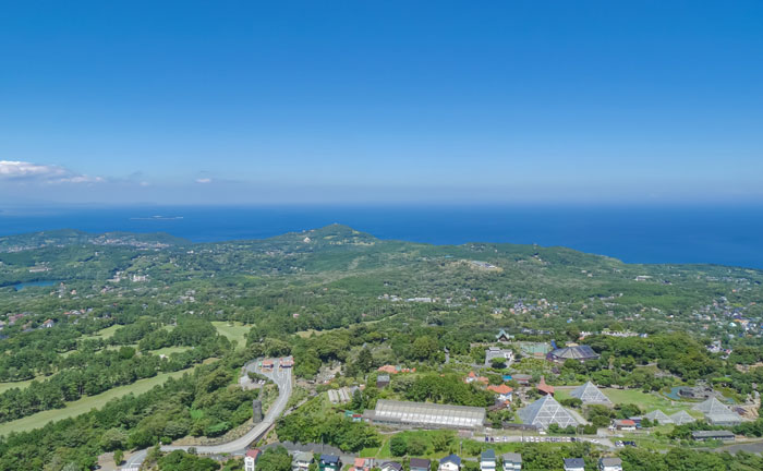 大室山からの伊東市