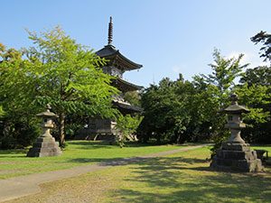 国分寺市 殿ヶ谷戸庭園